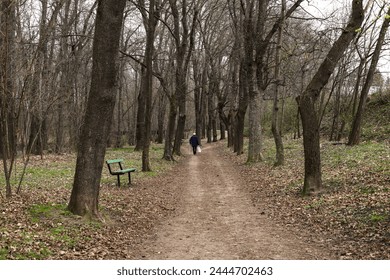a landscape with a path in the park in the spring	