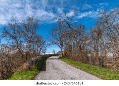 Landscape of paved country road among trees with leafless branches in winter on blue sky with white clouds, road in the countryside of the Po Valley in the province of Cuneo in northwestern Italy