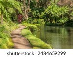 Landscape with peaceful ambiance of Parque Terra Nostra reflective pond, surrounded by Sao Miguel verdant greenery and Azores tranquil charm.