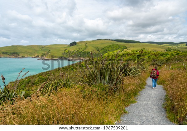 Landscape at Penguin bay on the way to Jacks\
Blowhole, South Island of New\
Zealand