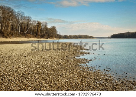 Similar – Image, Stock Photo forest lake Autumn Tree