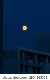A landscape photo emphasizing the immense depth of the night sky through a portrait frame. The weighty, modern building outlines at the bottom and the high full moon create a stable vertical proportion. Optimized for mobile UI backgrounds, vertical posters, and social media content creation.