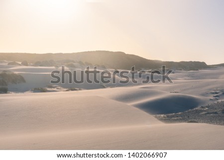 Similar – Image, Stock Photo western beach Calm