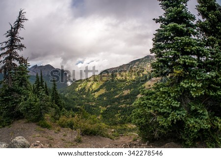 Landscape photo shows grassy hills of hurricane ridge with foggy mountain peaks behind