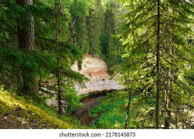 Landscape Photo.  View Of The Cliff And The Forest River Ahja In The Taevaskoja Nature Reserve.  Estonia, July 2022.