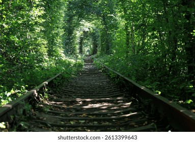Landscape photo with a view of the natural landmark - Tunnel of Love and railway tracks, located in the town of Klevan, Rivne Oblast, Ukraine - Powered by Shutterstock - Get 15% off with code: PIKWIZARD15
