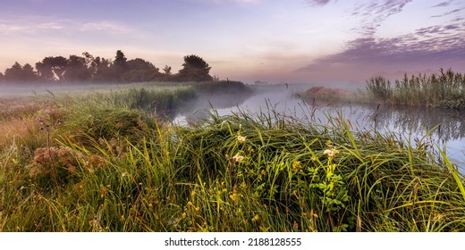 Landscape photo of a wetland nature reserve. Morning mist hangs over the meadow and the water. The sky has a beautiful purple and orange glow. Weerribben, in the Netherlands. - Powered by Shutterstock