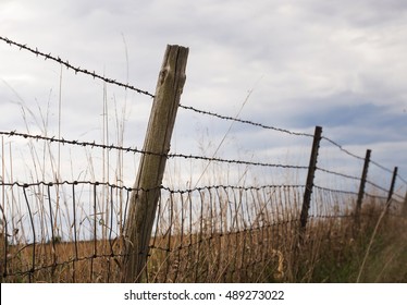 A landscape photograph of a barb wire fence leading down the horizon of an open field. A blue sky with white clouds fills the sky.