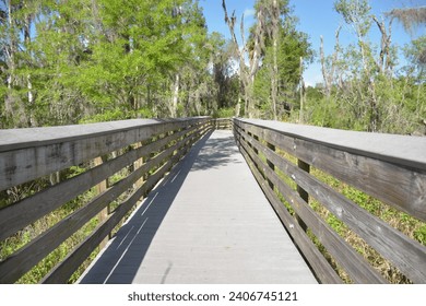 A landscape photograph created at the Circle B Bar Reserve in Polk County, Florida. 