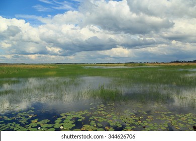 A landscape photograph of St. Marks National Wildlife Refuge near Tallahassee in Florida, USA. It is one of the oldest wildlife refuges in the United States.