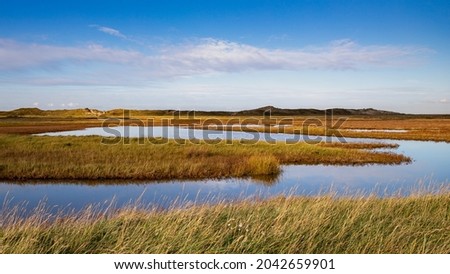 Landscape photograph of the Zwin nature reserve in knokke-heis, Belgium. Large area composed of salt marshes and mudflats, with walking paths, observation towers and sea birds.
