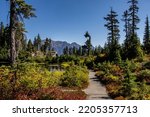 Landscape from Picture Lake trail of Heather Meadows at Mt Baker area, Deming, WA USA