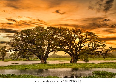 Landscape pictures of Sri Lanka - Shutterstock ID 1681239217