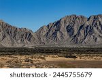 Landscape of the Pinacate volcano in the Altar Desert of Sonora, Mexico. 