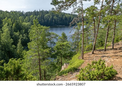 Landscape with a pine forest on the cliffs on the shore of Lake Ladoga. Valaam Island.