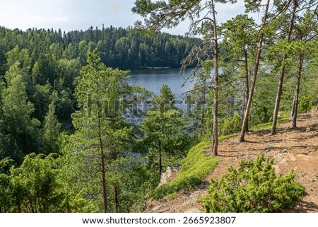 Landscape with a pine forest on the cliffs on the shore of Lake Ladoga. Valaam Island.
