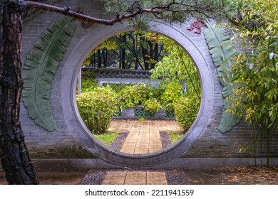 The Landscape Of Plants In A Rainy Park Pond