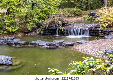 The Landscape Of Plants In A Rainy Park Pond