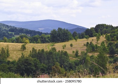 Landscape In Polish Mountains Sowie - Owl Mountains