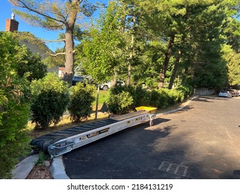 Landscape. Privacy Trees Along Paved Driveway. Rural Neighborhood