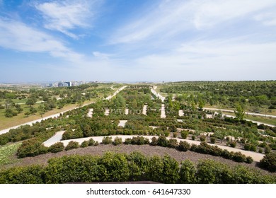 Landscape Of Public Park Named Felipe VI Or Forest Park Valdebebas, In Madrid City, Spain