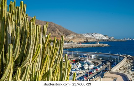 Landscape With Puerto Rico Village And Beach On Gran Canaria, Spain .Top View In The Foreground Cactus And In The Background The Harbour.