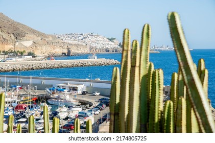 Landscape With Puerto Rico Village And Beach On Gran Canaria, Spain .Top View In The Foreground Cactus And In The Background The Harbour.