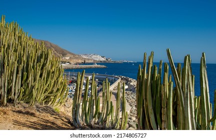 Landscape With Puerto Rico Village And Beach On Gran Canaria, Spain .Top View In The Foreground Cactus And In The Background The Harbour.