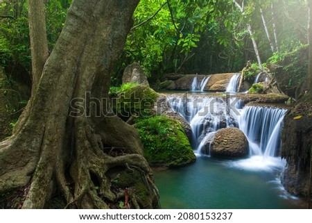Landscape of pure tropical waterfall on rainy morning, a big tree and lush green plants growing by the waterfall. Kanchanaburi, Thailand. Long exposure.
