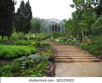 Landscape Of Queen Sirikit Botanic Garden