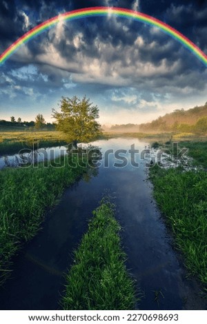 Foggy river in the morning. Summer misty sunrise
