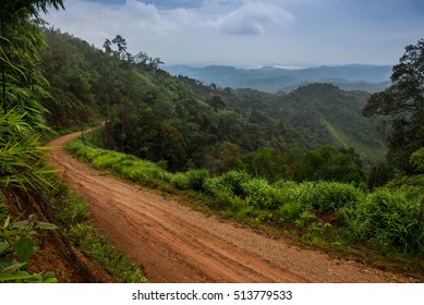 landscape of rainforest