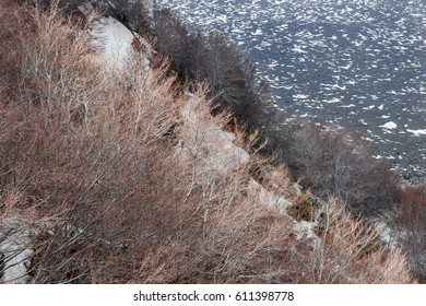 landscape of red plants growing on mount etna cliff in winter