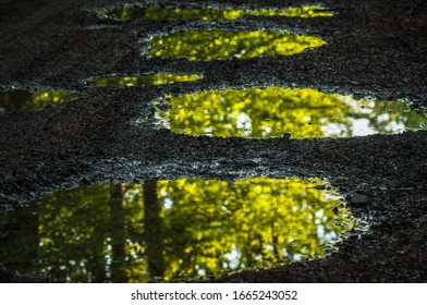 Landscape reflection in a puddle of spring forest