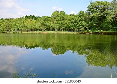 landscape of reflection of trees on river - Shutterstock ID 551808043