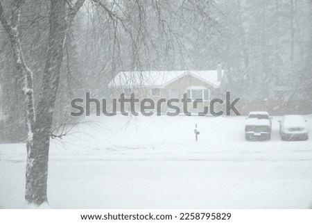 landscape of residential house in the blizzard            