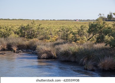 Landscape Of Rhone River Delta With Bushed Shores And With Cruise Ship Far Away, Camargue National Reserve, France
