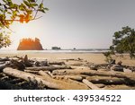 Landscape of Rialto Beach in Olympic National Park in LaPush Washington State, USA. This landscape has a number of logs, forest, and Pacific North West coastline 
