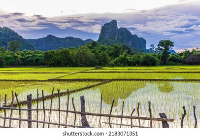 23,033 Countryside laos Images, Stock Photos & Vectors | Shutterstock