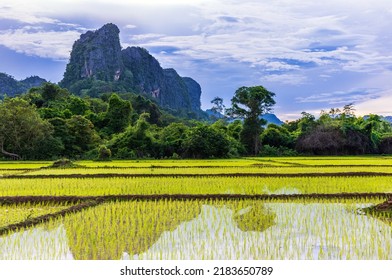 23,033 Countryside laos Images, Stock Photos & Vectors | Shutterstock