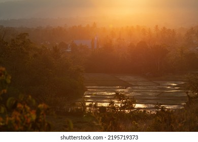 Landscape of rice fields and palm trees at sunset, near Bomba, South Lore, Poso Regency, Central Celebes, Indonesia - Shutterstock ID 2195719373