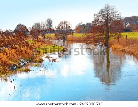 Landscape, river and creek by field with trees, bush and environment in sunshine with green plants. Woods, nature and outdoor with growth, sustainability and ecology for swamp, water and countryside