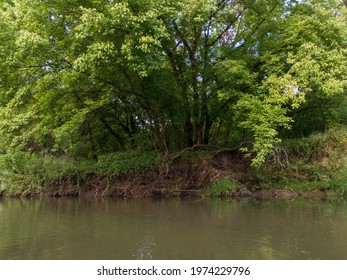 Landscape With River And Forested Riparian Zone During Summer Day