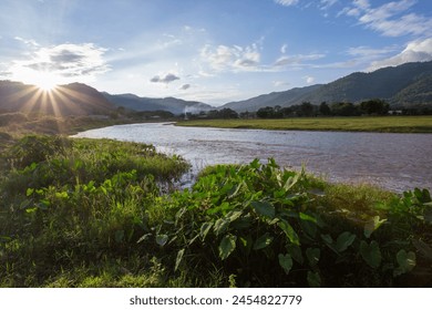 Landscape, river, mountains, sunset Two banks of the meadow river green plant, big leaf taro tree Clear evening sky in rural Thailand - Powered by Shutterstock