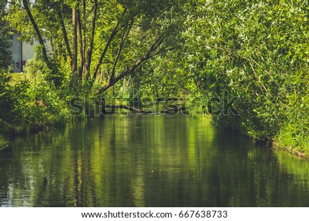 landscape with the river on sun.