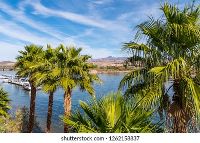 Landscape with river and palm trees in the vicinity of Laughlin Nevada, USA, November 2018