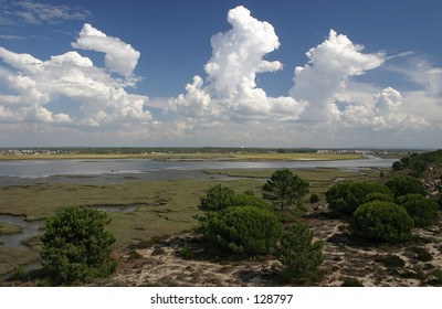 Landscape From River Sado In Portugal