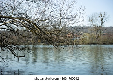 Landscape. River in the spring