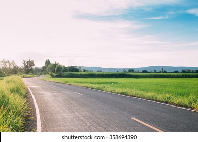 Landscape Of Road And Green Paddy Rice Field At Late Afternoon
