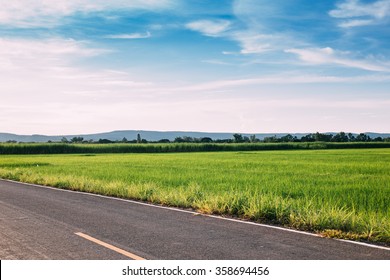 Landscape Of Road And Green Paddy Rice Field At Late Afternoon
